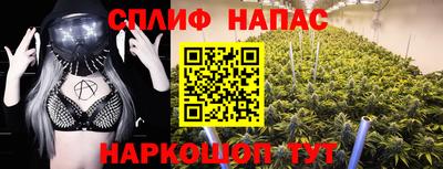 ПСИЛОЦИБИНОВЫЕ ГРИБЫ Боровичи