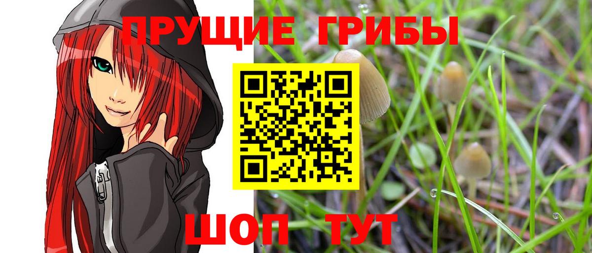 Псилоцибиновые грибы Psilocybine cubensis  Вход с VPN  Ангарск 