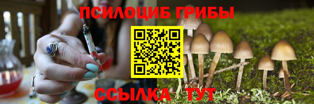 Псилоцибиновые грибы Magic Shrooms Ангарск